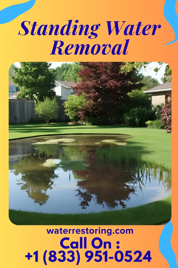 Standing Water Removal in Des Moines, NM